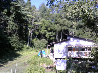 長野県菅平高原 ゆたか山荘 西側(坂上) 2025/07/24 07:15