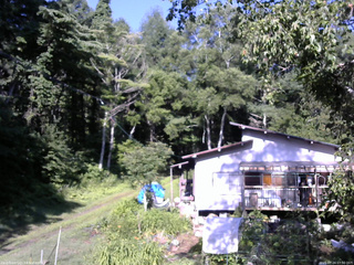 長野県菅平高原 ゆたか山荘 西側(坂上) 2025/07/24 07:30