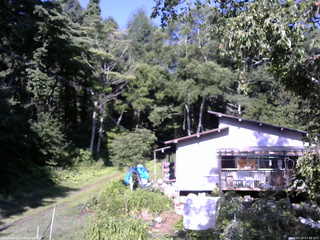 長野県菅平高原 ゆたか山荘 西側(坂上) 2025/07/24 07:45
