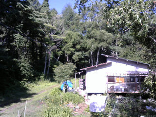 長野県菅平高原 ゆたか山荘 西側(坂上) 2025/07/24 08:00