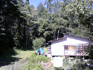 長野県菅平高原 ゆたか山荘 西側(坂上) 2025/07/24 08:45