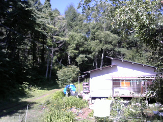 長野県菅平高原 ゆたか山荘 西側(坂上) 2025/07/24 09:00