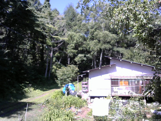 長野県菅平高原 ゆたか山荘 西側(坂上) 2025/07/24 09:15