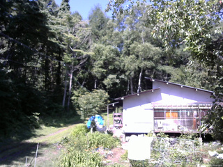 長野県菅平高原 ゆたか山荘 西側(坂上) 2025/07/24 09:30