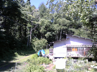 長野県菅平高原 ゆたか山荘 西側(坂上) 2025/07/24 09:45