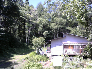 長野県菅平高原 ゆたか山荘 西側(坂上) 2025/07/24 10:15