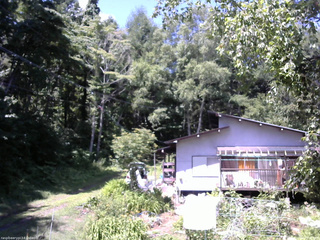 長野県菅平高原 ゆたか山荘 西側(坂上) 2025/07/24 10:30