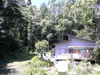 長野県菅平高原 ゆたか山荘 西側(坂上) 2025/07/24 10:45