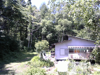 長野県菅平高原 ゆたか山荘 西側(坂上) 2025/07/24 11:00