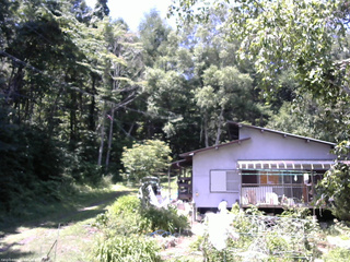 長野県菅平高原 ゆたか山荘 西側(坂上) 2025/07/24 11:30