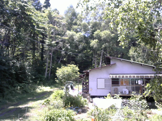 長野県菅平高原 ゆたか山荘 西側(坂上) 2025/07/24 12:45