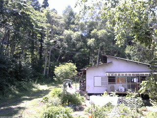 長野県菅平高原 ゆたか山荘 西側(坂上) 2025/07/24 13:00