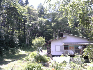 長野県菅平高原 ゆたか山荘 西側(坂上) 2025/07/24 13:30