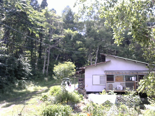 長野県菅平高原 ゆたか山荘 西側(坂上) 2025/07/24 14:00