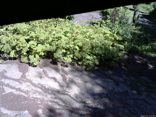 長野県菅平高原 ゆたか山荘 駐車場 2025/07/24 12:30