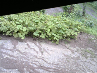 長野県菅平高原 ゆたか山荘 駐車場 2025/07/24 15:30