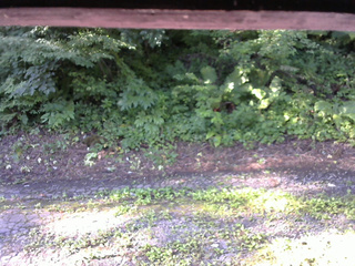 長野県菅平高原 ゆたか山荘 南側 2025/07/25 07:00