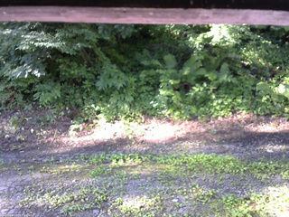 長野県菅平高原 ゆたか山荘 南側 2025/07/25 07:15