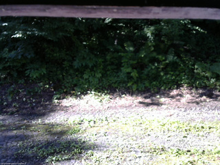 長野県菅平高原 ゆたか山荘 南側 2025/07/25 07:45