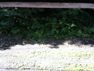 長野県菅平高原 ゆたか山荘 南側 2025/07/25 08:00