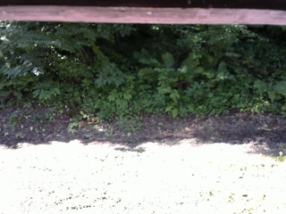 長野県菅平高原 ゆたか山荘 南側 2025/07/25 08:15