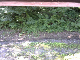 長野県菅平高原 ゆたか山荘 南側 2025/07/25 09:30