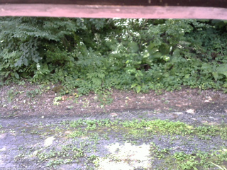 長野県菅平高原 ゆたか山荘 南側 2025/07/25 10:15