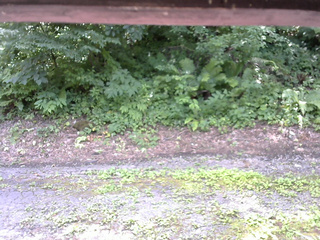 長野県菅平高原 ゆたか山荘 南側 2025/07/25 11:30