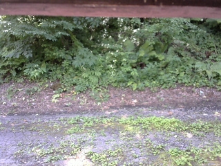 長野県菅平高原 ゆたか山荘 南側 2025/07/25 12:00