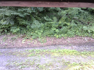 長野県菅平高原 ゆたか山荘 南側 2025/07/25 14:15