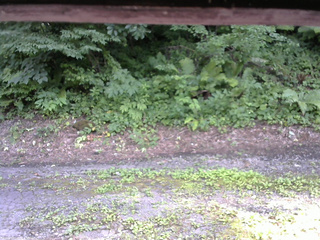 長野県菅平高原 ゆたか山荘 南側 2025/07/25 14:45