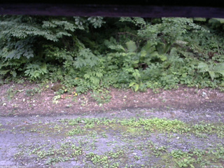 長野県菅平高原 ゆたか山荘 南側 2025/07/25 16:15