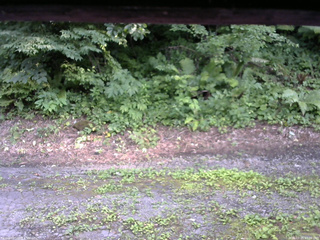 長野県菅平高原 ゆたか山荘 南側 2025/07/25 17:00