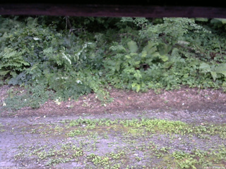 長野県菅平高原 ゆたか山荘 南側 2025/07/25 17:30