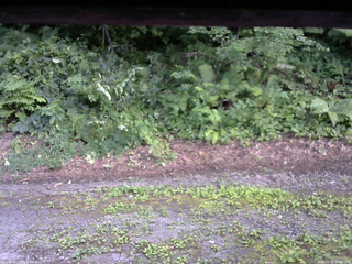 長野県菅平高原 ゆたか山荘 南側 2025/07/25 17:45