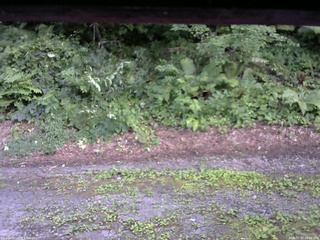 長野県菅平高原 ゆたか山荘 南側 2025/07/25 18:00