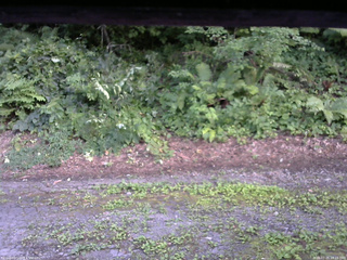 長野県菅平高原 ゆたか山荘 南側 2025/07/25 18:15