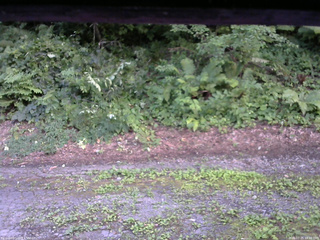 長野県菅平高原 ゆたか山荘 南側 2025/07/25 18:30