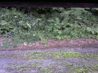 長野県菅平高原 ゆたか山荘 南側 2025/07/25 18:45