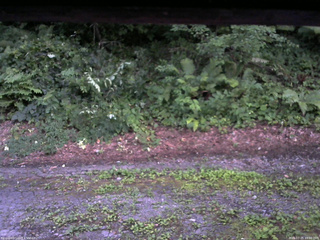 長野県菅平高原 ゆたか山荘 南側 2025/07/25 19:00