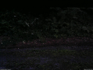 長野県菅平高原 ゆたか山荘 南側 2025/07/25 19:15