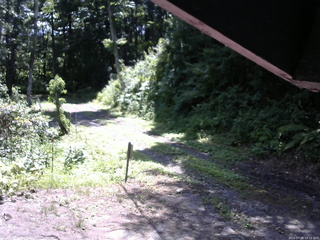 長野県菅平高原 ゆたか山荘 東側(坂下) 2025/07/25 10:15