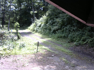 長野県菅平高原 ゆたか山荘 東側(坂下) 2025/07/25 10:30