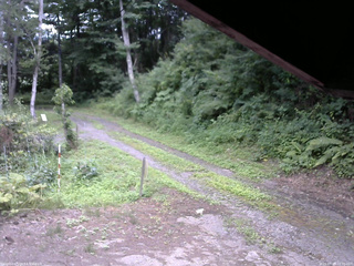 長野県菅平高原 ゆたか山荘 東側(坂下) 2025/07/25 15:30