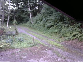 長野県菅平高原 ゆたか山荘 東側(坂下) 2025/07/25 16:15