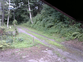 長野県菅平高原 ゆたか山荘 東側(坂下) 2025/07/25 16:30