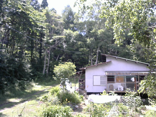 長野県菅平高原 ゆたか山荘 西側(坂上) 2025/07/25 13:30
