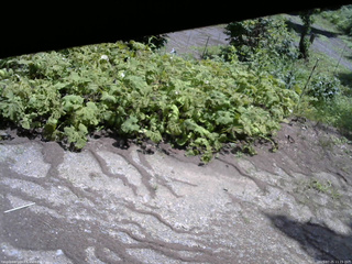 長野県菅平高原 ゆたか山荘 駐車場 2025/07/25 11:15