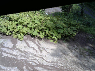 長野県菅平高原 ゆたか山荘 駐車場 2025/07/25 14:15