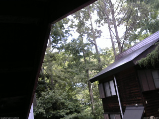 長野県菅平高原 ゆたか山荘 北側 2025/07/26 11:15